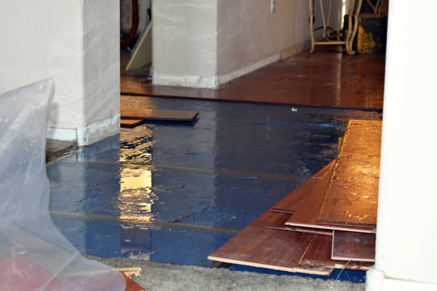 Professional Water Damage Restoration technician working in Chambers, AZ